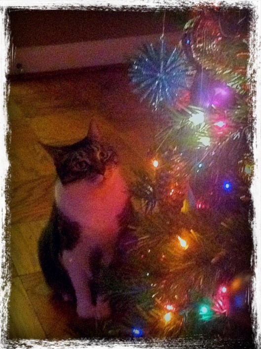 deb-iphone-pics-9-23-13-583